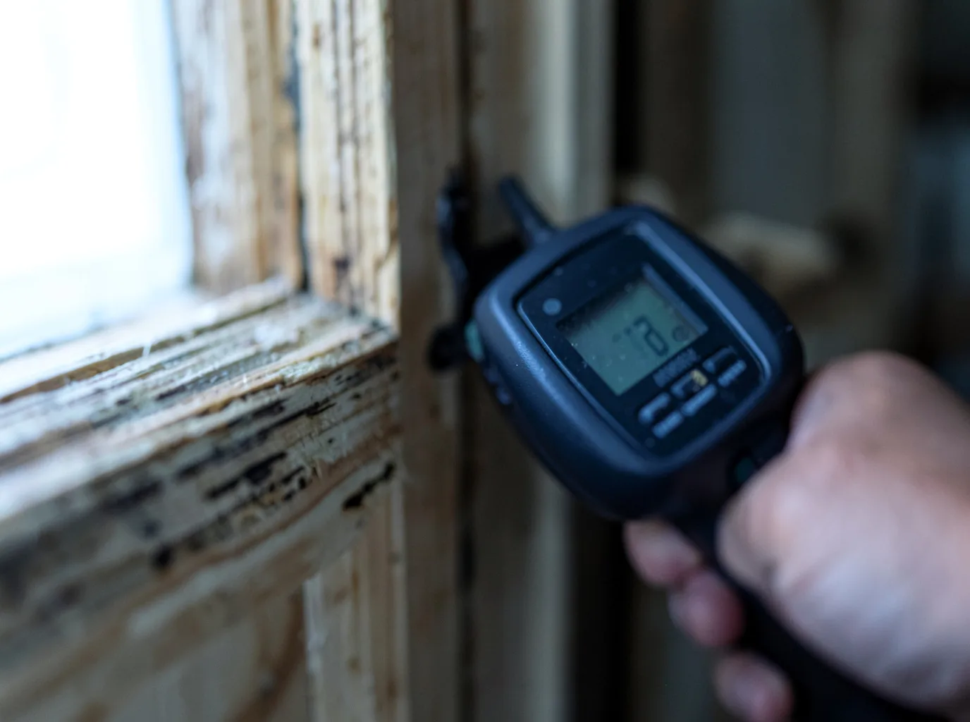 Commercial Water Damage Restoration in Woodbine, KY